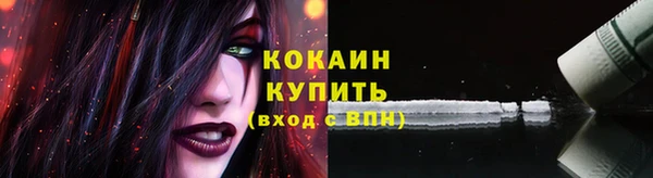 ECSTASY Новозыбков