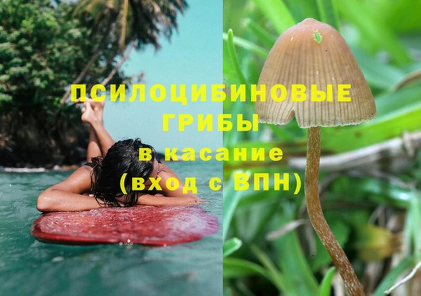 гидропоника Новокубанск
