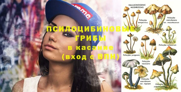 гидропоника Новокубанск