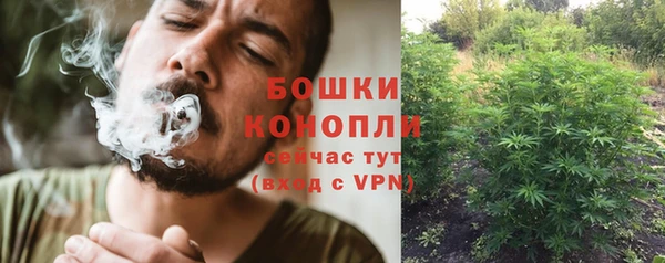 ECSTASY Новозыбков