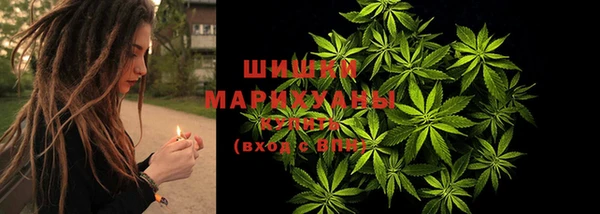 гидропоника Новокубанск