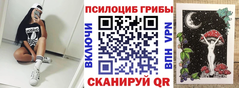 Галлюциногенные грибы GOLDEN TEACHER  закладка  Алагир 